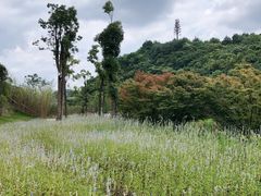 -天河潭旅游度假区