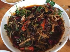 -小杨翘脚牛肉