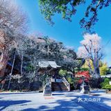 倒数第二次恋爱取景地