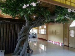 -长兴太湖图影湿地文化园