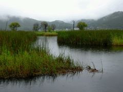 android_upload_pic-腾冲北海湿地