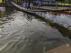 -海上田园