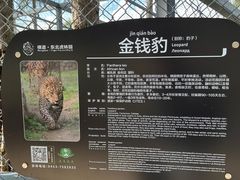 -横道河子东北虎林园