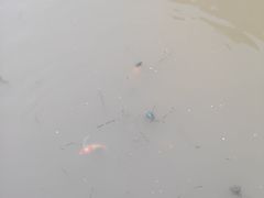 -堤角公园