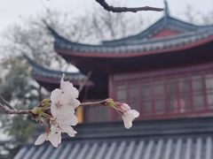 -鸡鸣寺