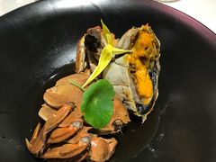 -诺莱仕游艇会