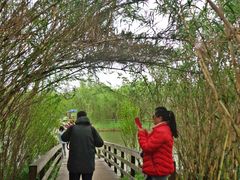 -溱湖国家湿地公园