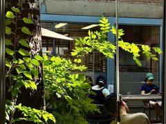 -VOYAGE COFFEE 咖啡烘焙工坊店(798艺术区店)
