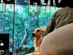-Moka Bros 摩卡站(嘉华店)