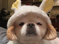 -蛙小侠(亚欧商厦店)