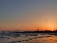 -南汇新城海滩