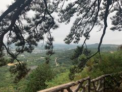 -北京西山国家森林公园