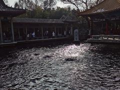 -趵突泉景区