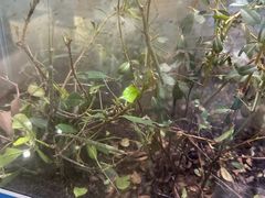 -上海昆虫博物馆