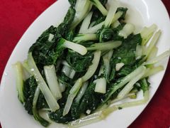 清炒小白菜-蛇口康乐快餐鱼仔档(翠苑小区店)