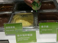 -Salud撒露欧洲冻酸奶(北苑上品店)