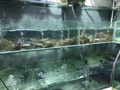水产区-旺山·浪头人家
