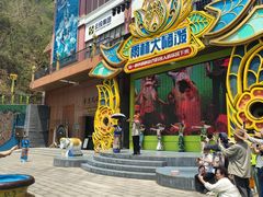 -西双版纳原始森林公园