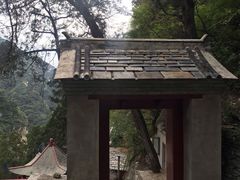 -北京上方山国家森林公园