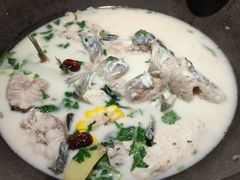-鲜潭蒸汽石锅鱼(五道口购物中心店)
