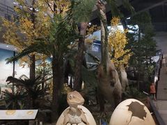 -湖南省地质博物馆