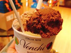 榛子巧克力冰淇淋-VENCHI 闻绮(北京汉光店)