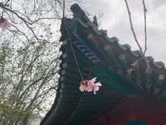 -河北工业大学(北辰校区)