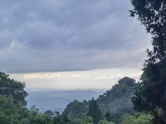 -小厨师·二十年沈家门小海鲜(百井坊巷店)