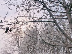 -睦南公园