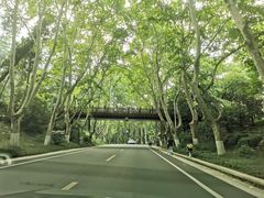 -南京国际会议大酒店