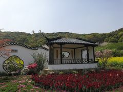 -苏州上方山国家森林公园