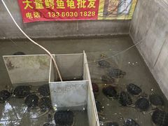 -龟场私房菜