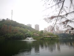 -重庆彩云湖湿地公园
