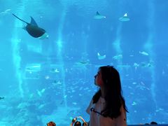 -新加坡海洋生态馆