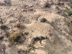 -鄂尔多斯野生动物园