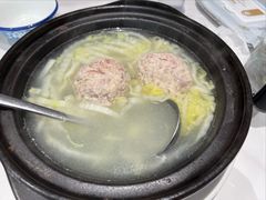 -丁老爷子苏香圆