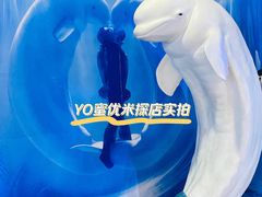 -多彩贵州城极地海洋世界