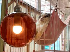 -灯塔咖啡馆BOOK·Coffee Shop