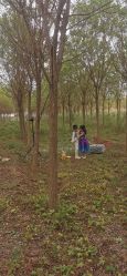 点击看大图 -花开映像儿童摄影