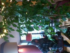 -COSTA COFFEE(吴江路店)