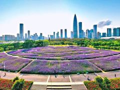 -深圳人才公园