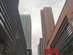 -霸王茶姬(南亚风情第壹城店)