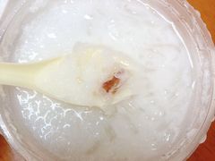 椰汁海石花-南街清补凉(黄贝岭店)