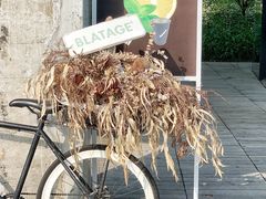 -BLATAGE COFFEE