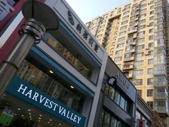 -执茶识麦(万达华府店)