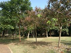 -白沙门生态公园