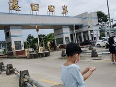 -广东惠东海龟国家级自然保护区