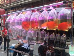 -华声天桥民俗文化园