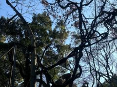 -绮园景区