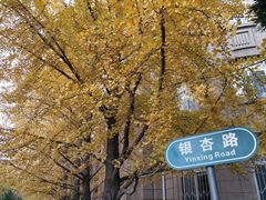 -辽宁大学(崇山校区)
